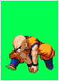 Krillin sprite_0201.png